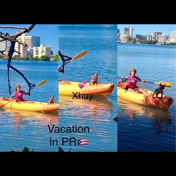 My Little  fur baby XHUY........ 🐾🐾❤️❤️🐾🐾🐾❤️ - Picture 16 of 16